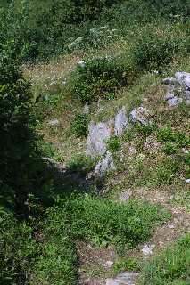 mini_IMG_2546.JPG