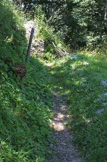 mini_IMG_2547.JPG