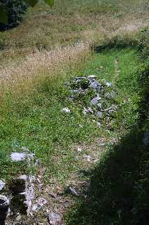 mini_IMG_2549.JPG