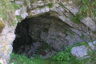 mini_IMG_2551.JPG