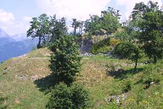 mini_IMG_2553.JPG