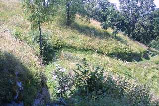 mini_IMG_2555.JPG