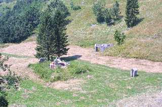 mini_IMG_2556.JPG