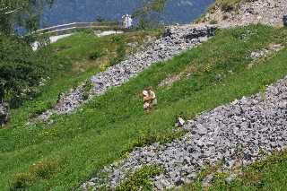 mini_IMG_2557.JPG