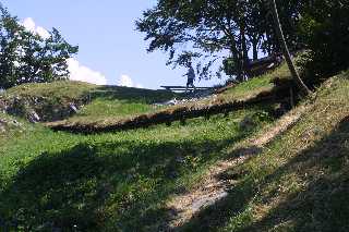 mini_IMG_2558.JPG
