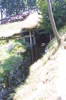 mini_IMG_2559.JPG