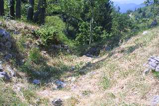 mini_IMG_2560.JPG