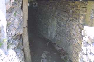 mini_IMG_2568.JPG