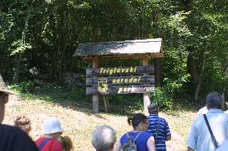mini_IMG_2576.JPG