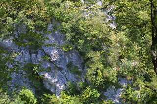 mini_IMG_2577.JPG