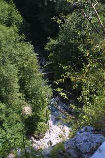 mini_IMG_2578.JPG