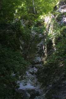 mini_IMG_2580.JPG