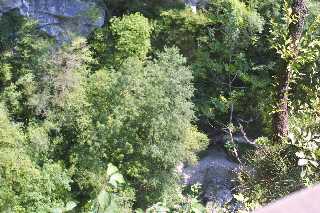 mini_IMG_2581.JPG