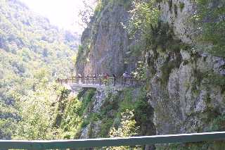 mini_IMG_2585.JPG