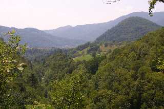 mini_IMG_2589.JPG