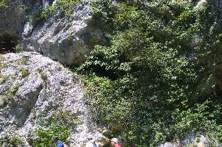 mini_IMG_2591.JPG