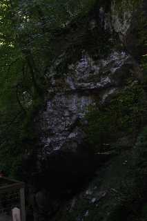 mini_IMG_2594.JPG