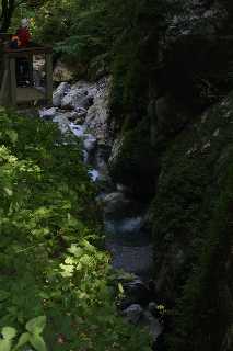 mini_IMG_2595.JPG