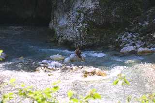 mini_IMG_2598.JPG