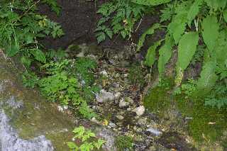 mini_IMG_2604.JPG