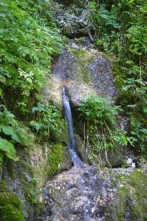 mini_IMG_2613.JPG