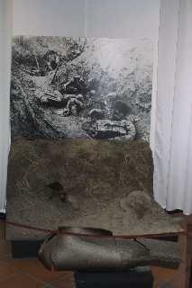 mini_IMG_2651.JPG