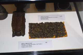 mini_IMG_2653.JPG