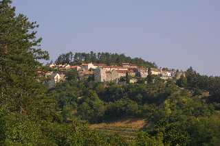 mini_IMG_2697.JPG
