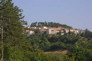 mini_IMG_2698.JPG