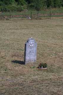 mini_IMG_2708.JPG