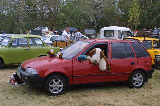 mini_IMG_2507.JPG