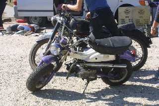 mini_IMG_2636.JPG