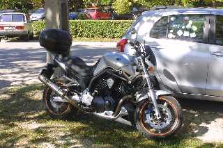 mini_IMG_2654.JPG