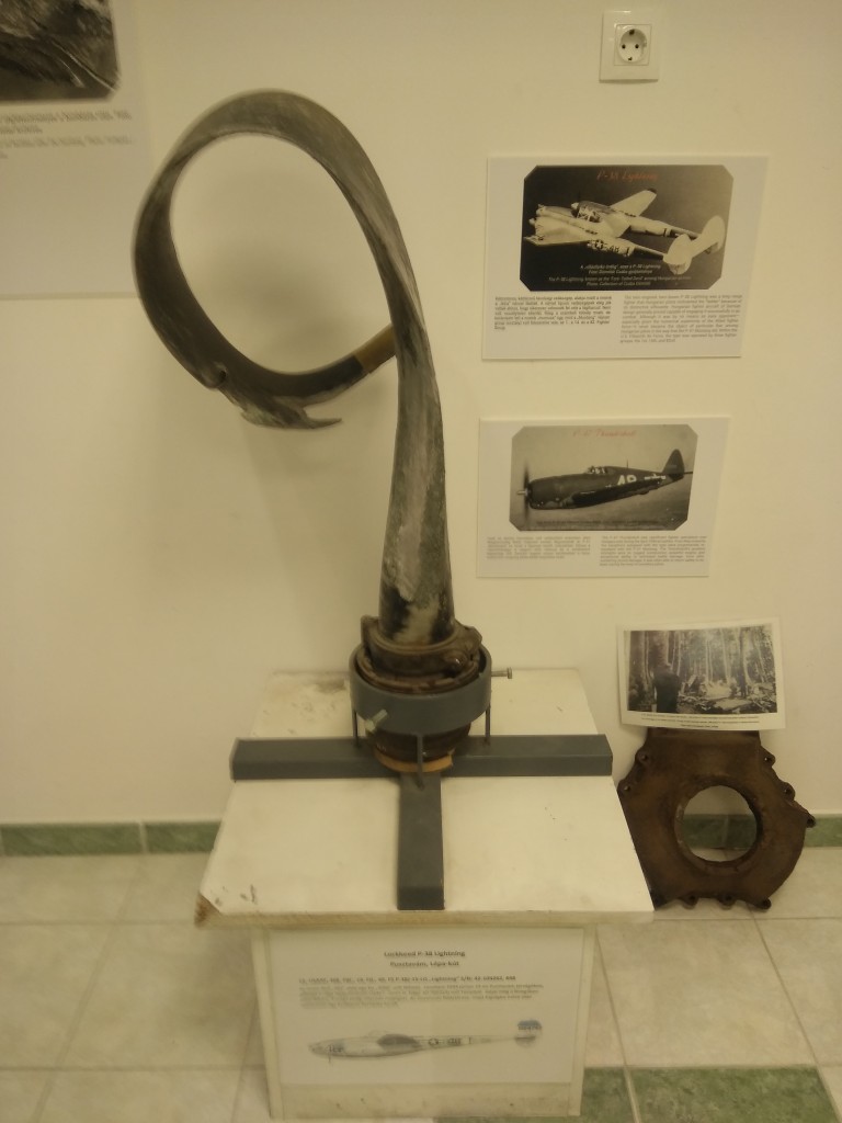 midi_IMG_20260927_163726.jpg