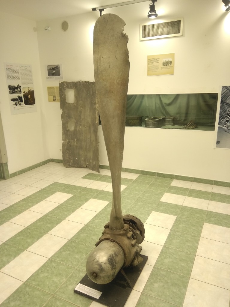 midi_IMG_20260927_163901.jpg