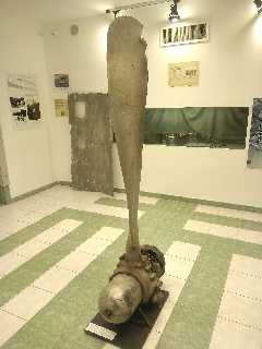 mini_IMG_20260927_163901.jpg